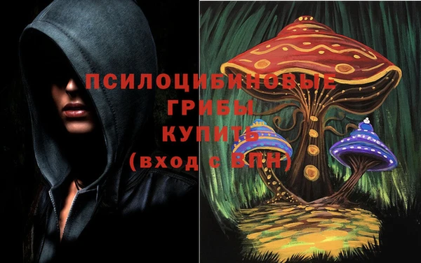 дживик Алексеевка
