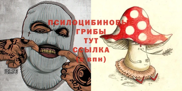 дживик Алексеевка