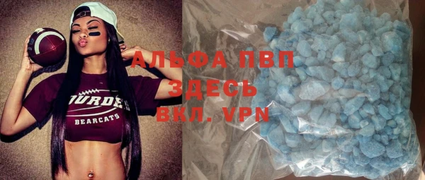 стафф Арсеньев