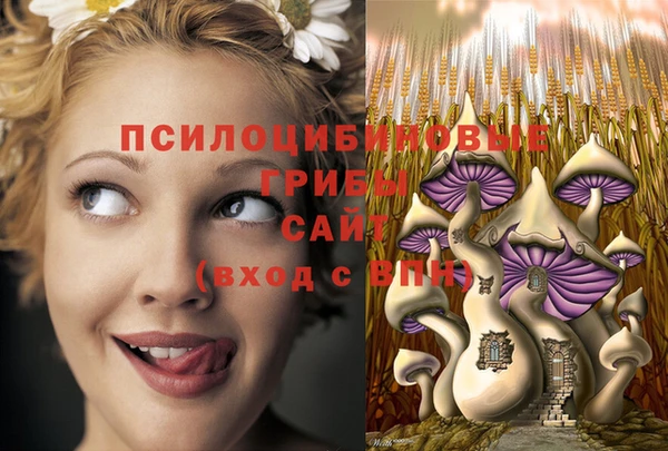 стафф Арсеньев