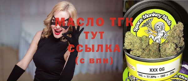 хмурый Аркадак